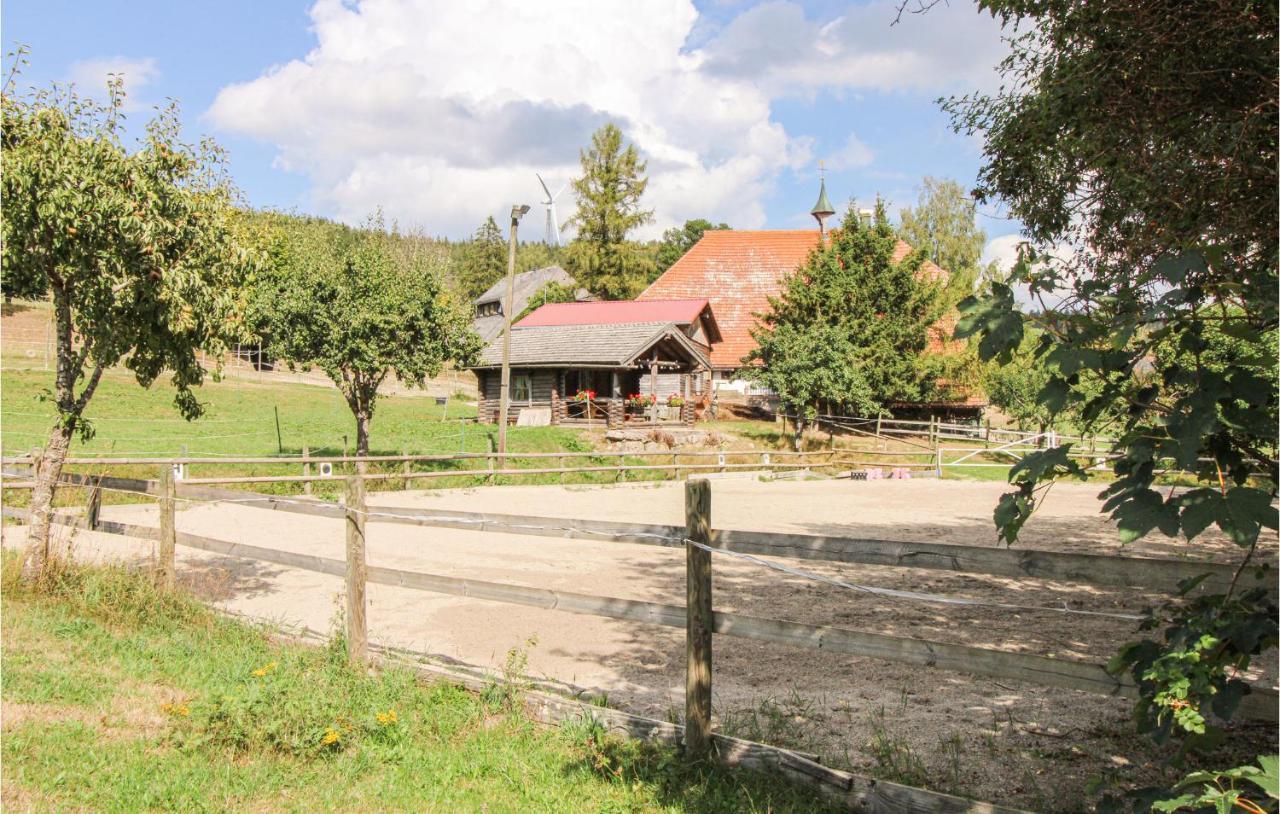 Chalet Bestaenderhof Schonach im Schwarzwald Ngoại thất bức ảnh